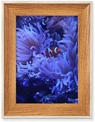 MCJS Óceán Szellőrózsa Halak a Korall a Tudomány a Természet Képet Asztali Fa Képkeret Kijelző Kép Art Festmény Több Készletek