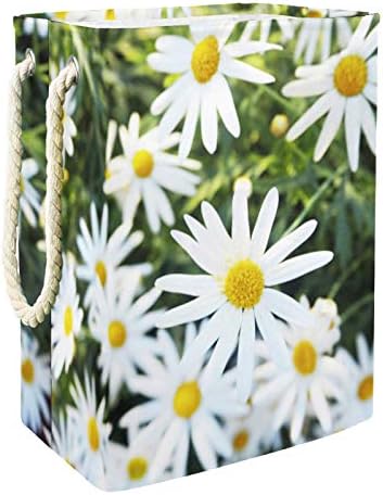 Szennyesben Daisy Kamilla Mező Virága Összecsukható Vászon Szennyes Tároló Kosár fogantyúval, Levehető Zárójelben Jól Tartja