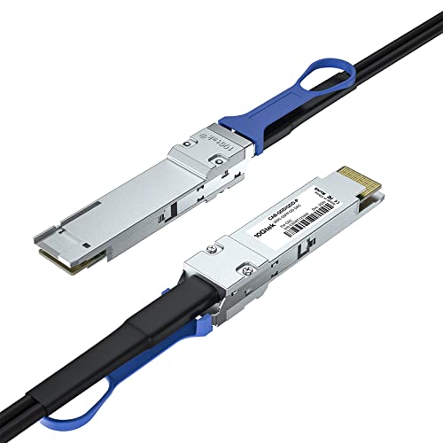 10Gtek 200G QSFP-DD DAC Kábel - 200GBASE QSFP-NN, hogy QSFP-DD Passzív Közvetlen Csatolása Réz Twinax Kábel, 3 Méteres(10ft)
